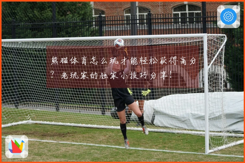熊猫体育怎么玩才能轻松获得高分？老玩家的独家小技巧分享！